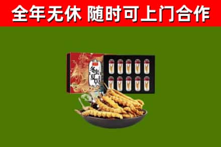 玛纳斯县回收冬虫夏草价格